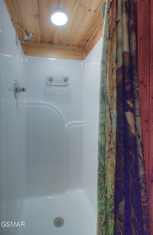 3529 Peggy Ln, Pigeon Forge, TN 37863 - full bathroom with a shower with shower curtain