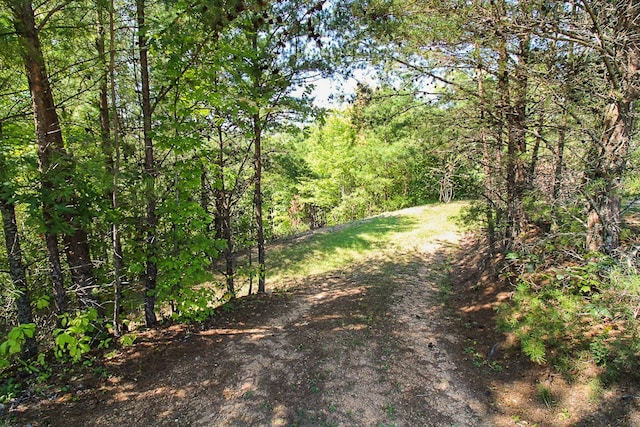 view of road with a view of trees