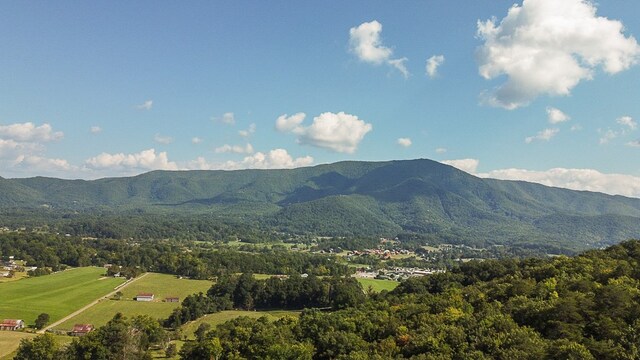 mountain view featuring a forest view