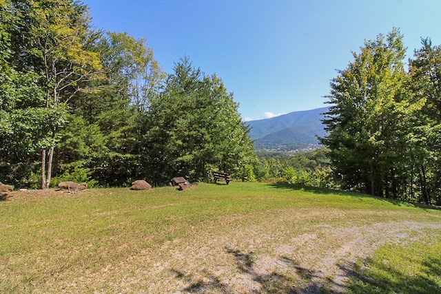 view of yard featuring a mountain view and a forest view