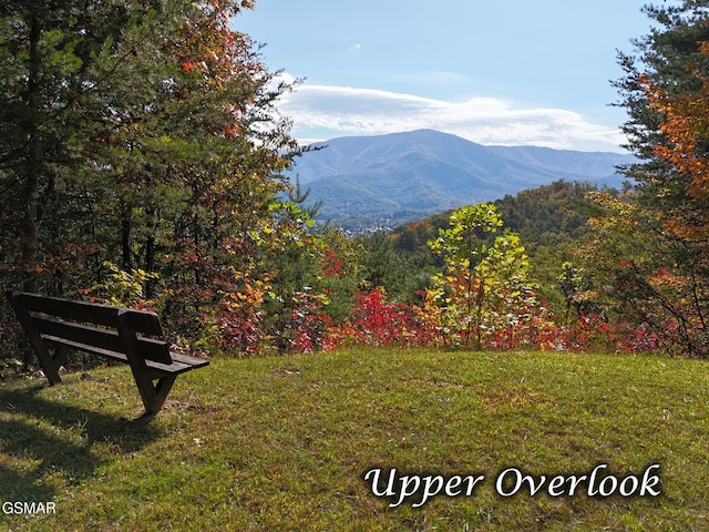 view of mountain feature