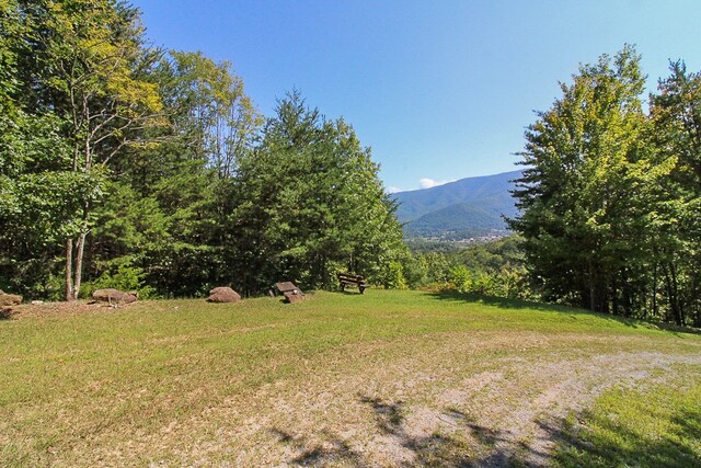 view of yard with a wooded view and a mountain view