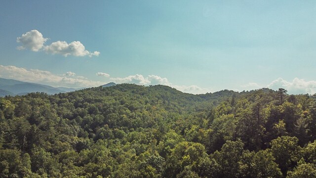 property view of mountains featuring a view of trees