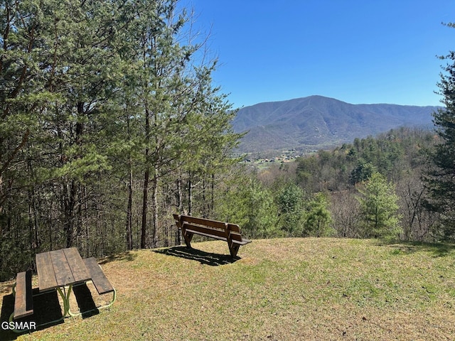 property view of mountains with a wooded view