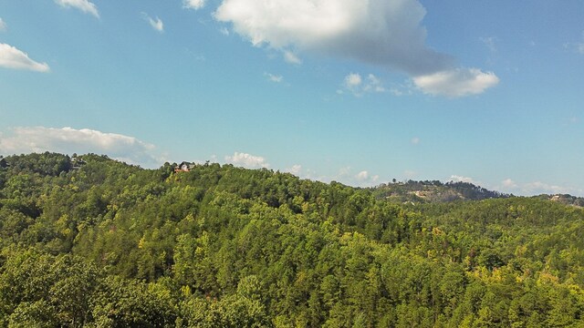 property view of mountains featuring a view of trees