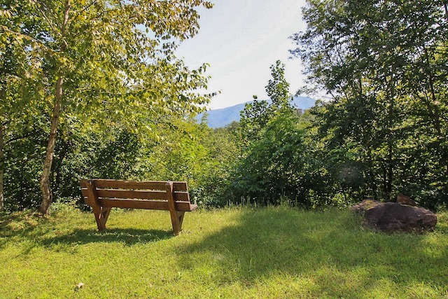 view of yard featuring a mountain view