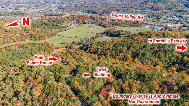 drone / aerial view featuring a view of trees