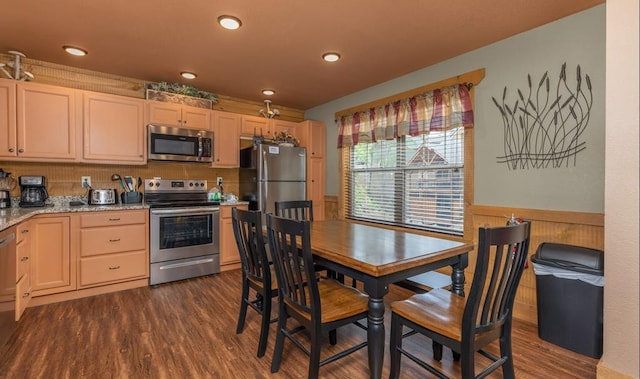 1106 Anastasia Way, Gatlinburg, TN 37738 - kitchen featuring appliances with stainless steel finishes, dark wood-style flooring, a wainscoted wall, light stone counters, and recessed lighting
