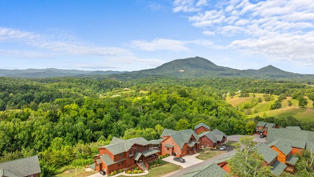 685 Stockton Dr, Sevierville, TN 37876 - photo 72
