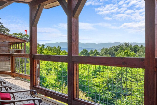 685 Stockton Dr, Sevierville, TN 37876 - photo 61