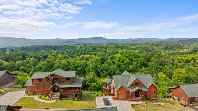 685 Stockton Dr, Sevierville, TN 37876 - photo 71