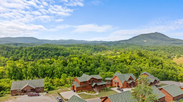 685 Stockton Dr, Sevierville, TN 37876 - photo 73