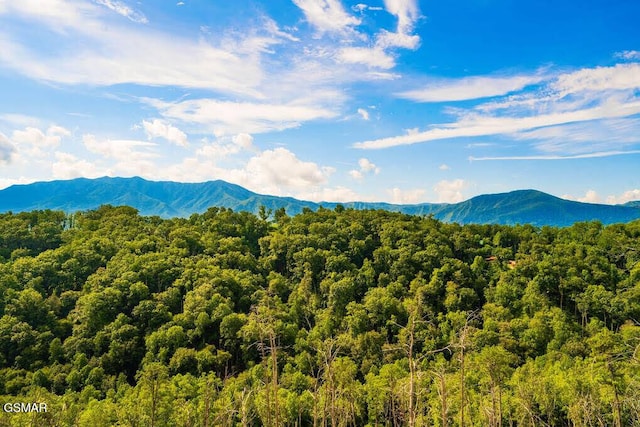 mountain view featuring a forest view