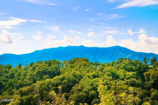 view of mountain feature featuring a forest view