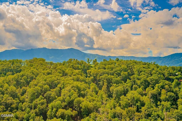 view of mountain feature with a view of trees