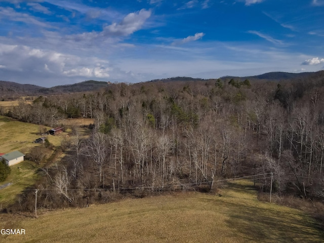 LOT10 Tarwater Ln, Sevierville, TN 37862 - photo 1