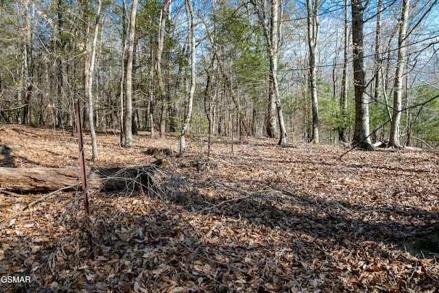 LOT10 Tarwater Ln, Sevierville, TN 37862 - photo 11