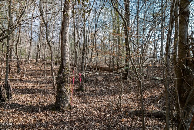 LOT10 Tarwater Ln, Sevierville, TN 37862 - photo 10