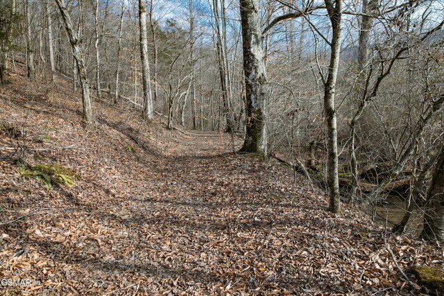 LOT10 Tarwater Ln, Sevierville, TN 37862 - photo 7