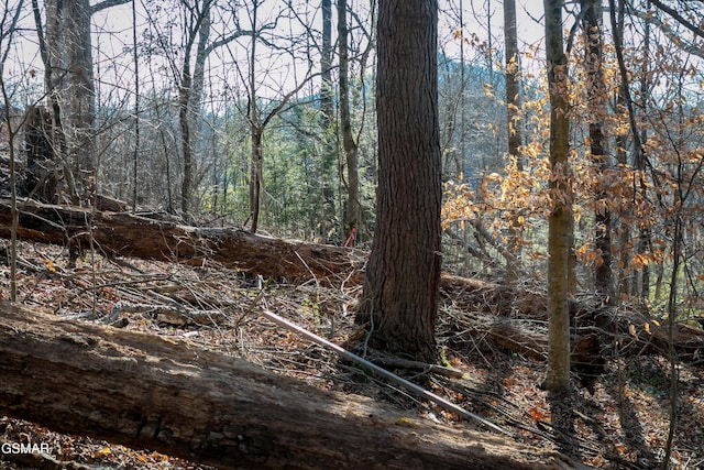 LOT10 Tarwater Ln, Sevierville, TN 37862 - photo 15