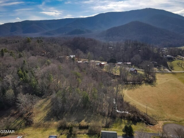 LOT10 Tarwater Ln, Sevierville, TN 37862 - photo 5