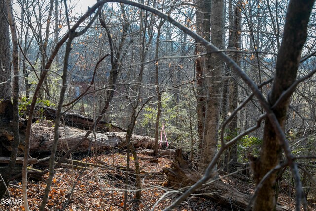LOT10 Tarwater Ln, Sevierville, TN 37862 - photo 16