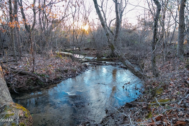 LOT10 Tarwater Ln, Sevierville, TN 37862 - photo 9