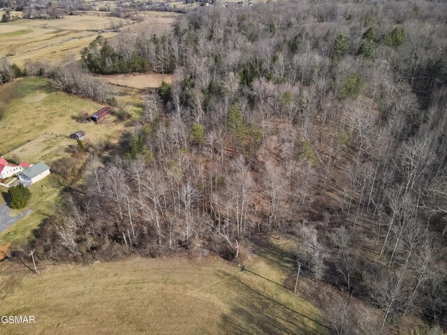 LOT10 Tarwater Ln, Sevierville, TN 37862 - photo 4