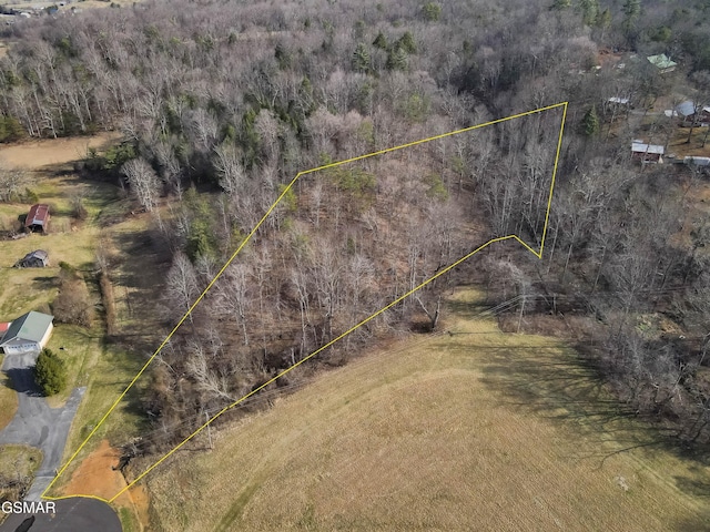 LOT10 Tarwater Ln, Sevierville, TN 37862 - photo 3