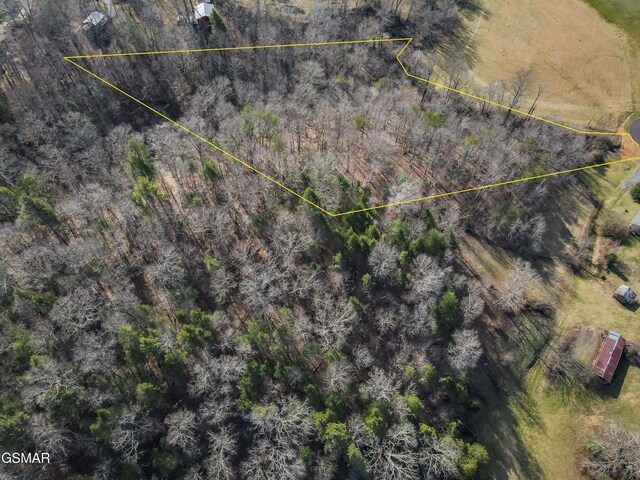 LOT10 Tarwater Ln, Sevierville, TN 37862 - photo 6