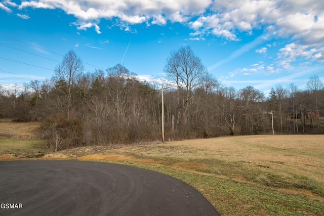 LOT10 Tarwater Ln, Sevierville, TN 37862 - photo 2