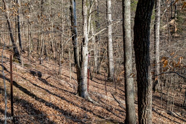 LOT10 Tarwater Ln, Sevierville, TN 37862 - photo 12