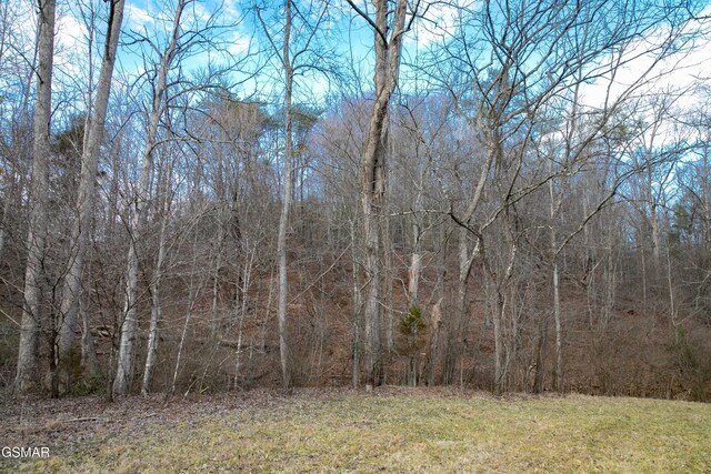 LOT10 Tarwater Ln, Sevierville, TN 37862 - photo 18