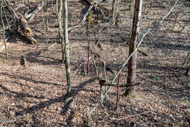 LOT10 Tarwater Ln, Sevierville, TN 37862 - photo 13