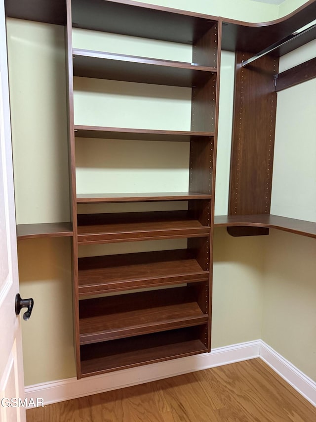 915 Fine Glen Dr, Sevierville, TN 37862 - view of spacious closet