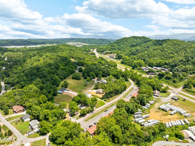 1018 Cedar Ln, Sevierville, TN 37862 - photo 37