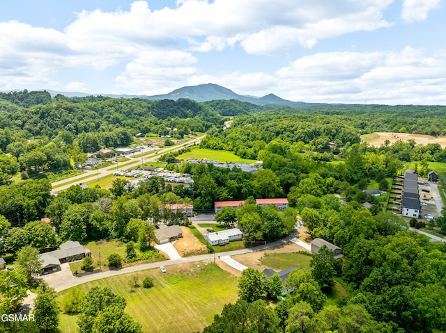 1018 Cedar Ln, Sevierville, TN 37862 - photo 35