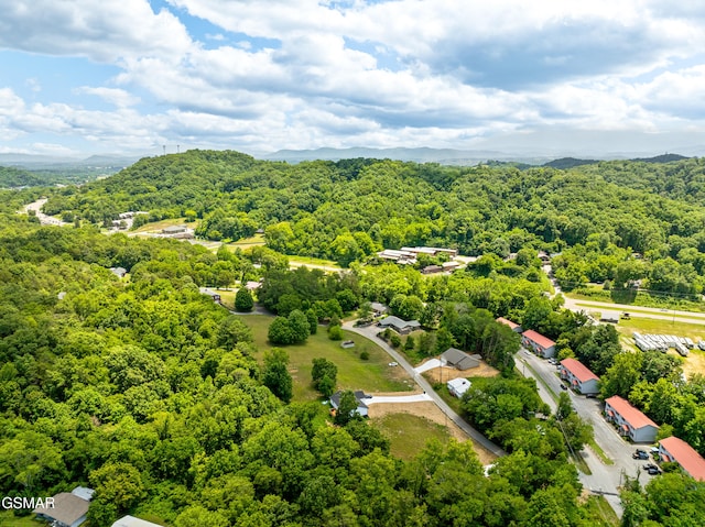 1018 Cedar Ln, Sevierville, TN 37862 - photo 38