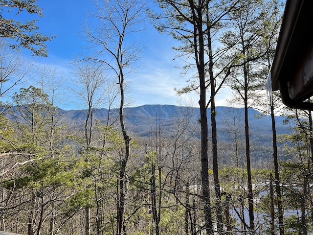 view of mountain feature