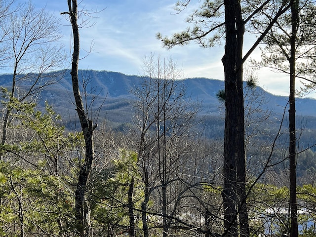 view of mountain feature