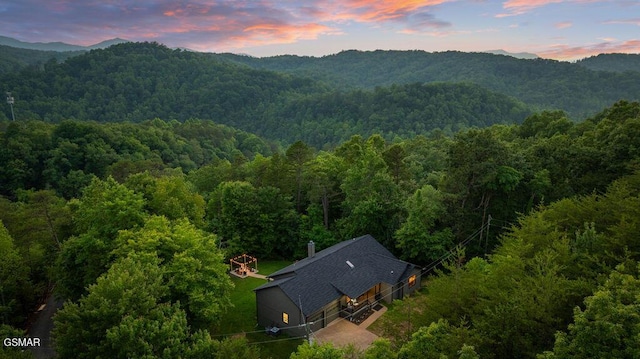 4822 White Pine Way, Sevierville, TN 37876 - view of mountain background featuring a forest