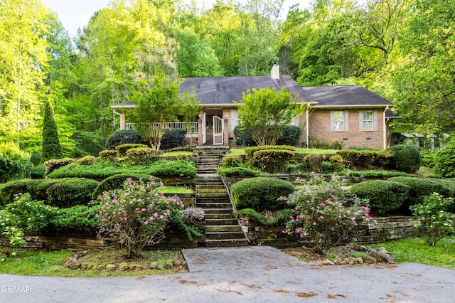 3012 Roaring Creek Way, Sevierville, TN 37862 - view of front facade with stairs, brick siding, and a chimney