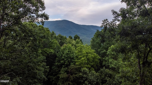 view of mountain feature