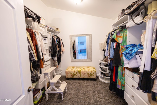 spacious closet with dark colored carpet