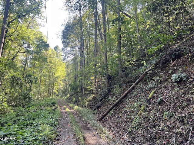 Listing photo 3 for LOT44 Old Smoky High Top Rd, Cosby TN 37722