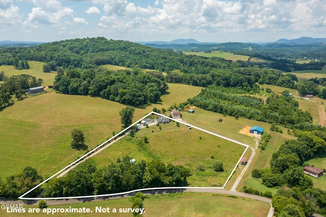 2413 Lynx Rd, New Market, TN 37820 - photo 56