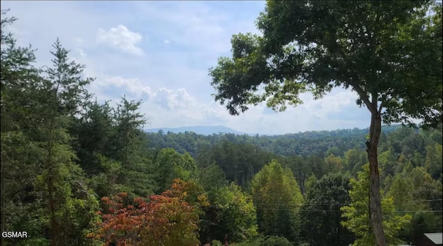 view of mountain backdrop featuring a heavily wooded area