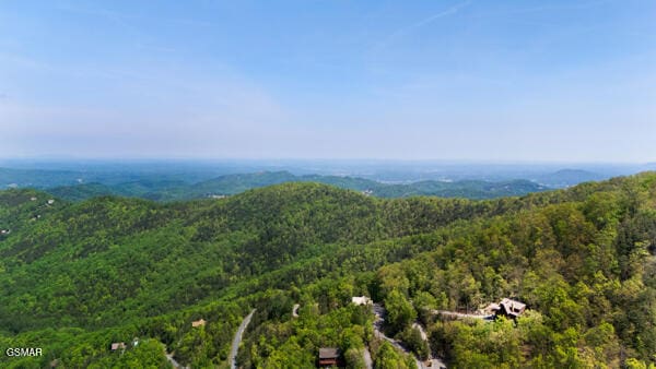 birds eye view of property featuring a forest view