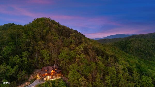 view of mountain feature with a view of trees
