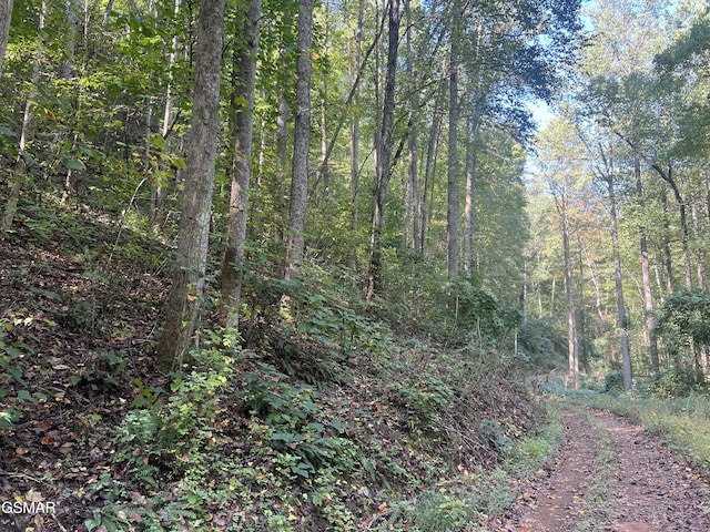 Listing photo 3 for LOT62 Old Smoky High Top Rd, Cosby TN 37722